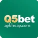 Q5bet Game Download