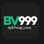 BV999 Game